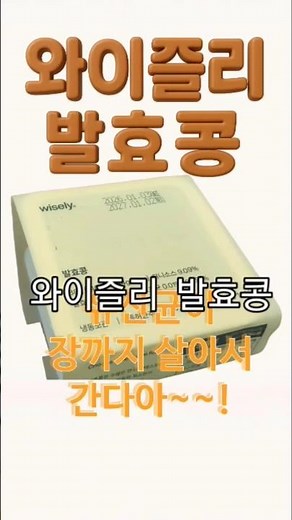 [먹거리] 와이즐리 발효콩, 유산균이 살아서 장까지~#와이즐리 #와이즐리발효콩 #건강식#건강식단#고초균#국내산청국장 #국산청국장#국산콩청국장#이계호#특허균주#낫또#나토#유산균#협찬