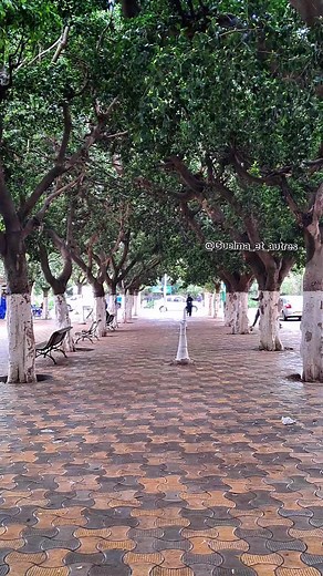 قالمة ، متى ترى النور !🤐#guelma #guelma_ville #guelmoise #guelmois #dz #24 #dz #algeria #algérie #الجزائر #قالمة #قالميات #قالمية24 #قالمي #قالمية