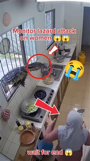 What Happened To Lady 😱☝️#shorts #shortvideo #lizard #shortsfeed #trending #viral