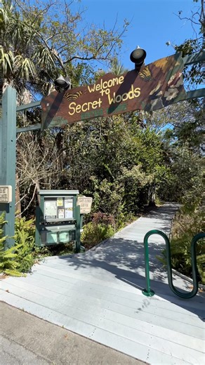 A beautiful secret nature walk in Fort Lauderdale 🍃 Secret Woods Nature Center 📍2701 W State Rd 84, Fort Lauderdale Have you ever been to the secret woods nature center? It’s a beautiful walk under a ton of trees and surrounded by mangroves. A great free outdoor thing to do here in the city especially when it isn’t too hot outside. Follow me for more things to do, events, & restaurants in Fort Lauderdale 🌴 #fortlauderdale #ftlauderdale #ftl | The Broward Scene