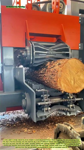 Log Reduction: A Drum Chipper Processing Timber for Mushroom Cultivation Substrate