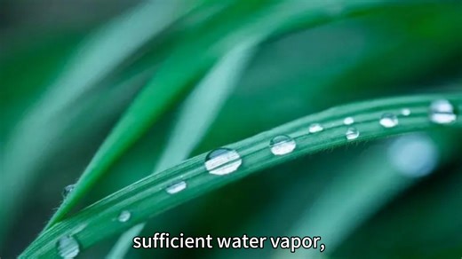 How is a typhoon formed?