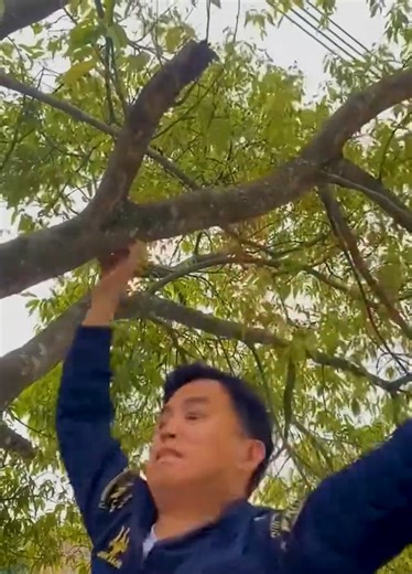 2.2K views · 63 reactions | Funny 藍 | Two Brothers | Facebook