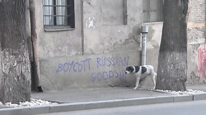 A year into the war, Russians in Georgia are viewed with suspicion