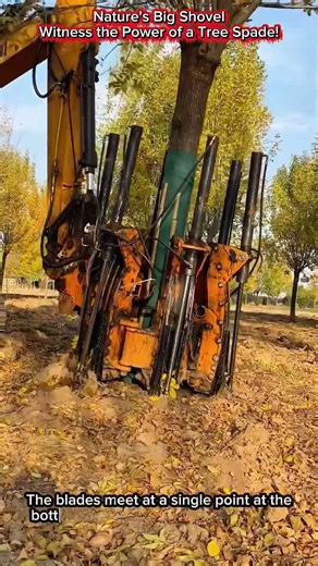 Nature's Big Shovel | Witness the Power of a Tree Spade!