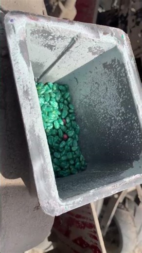 What does corn seed look like?
