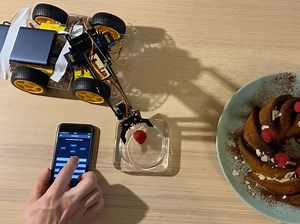 Car with a Robotic Arm and a Web-Based Remote Control
