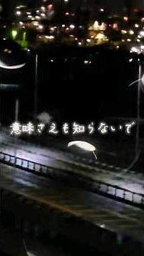 青春がつまった曲 #路地裏の少年 #浜田省吾 #歌詞 #毎日投稿 177日目