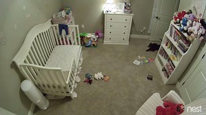 And the Nestie for Best Choreography goes to: “Dirty Dog Dancing.” https://goo.gl/Eayyom #TheNesties | Google Nest