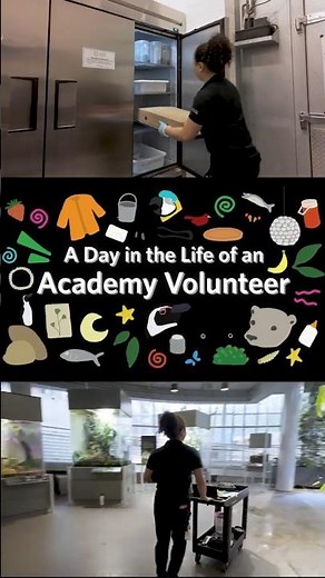 | California Academy of Sciences