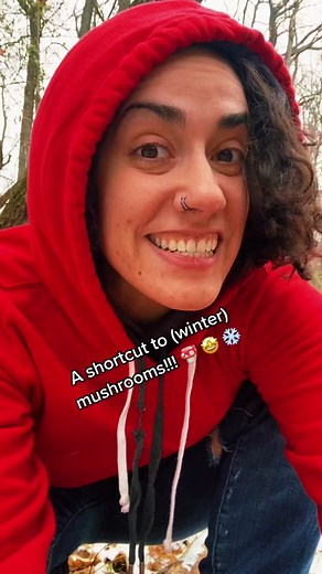 Winter Mushroom Foraging Tips and Tricks