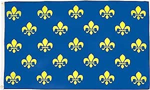 AZ FLAG - France Blue And Gold Fleur-De-Lis Flag - 3x5 Ft - 100D Polyester French Royal Banner with Two Metal Grommets - Fade Resistant - Vivid Colors - 3' x 5' Feet - 150x90 Cm