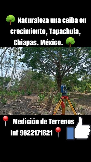 medición de Terrenos Inf 9622171821, no tengo los derechos de audio.