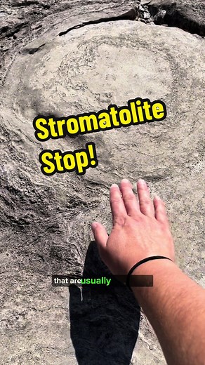 Exploring Ancient Stromatolites on Low Water Days