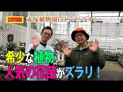A wide selection of rare plants and flower seedlings! (Akatsuka Botanical Garden FFC Pavilion) ~ ...