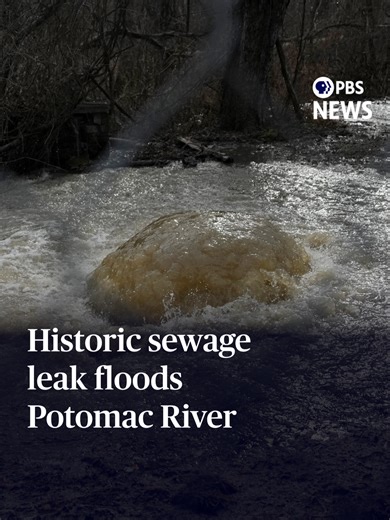 Major Sewage Spill in Potomac River: Impacts & Responses
