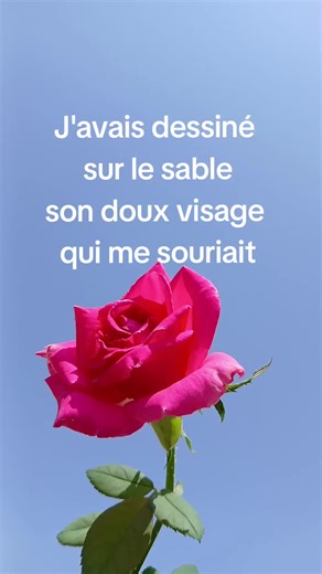 Aline,Christophe, lyrics#pourtoi #song #lyric #lyrics_songs #parole