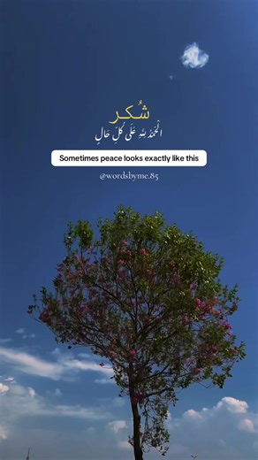 Shukr Increases Blessings🤍 Ramadan | Blessings | Peace | Grateful | Alhamdulillah | Nature lovers #nature #peace #fyp #foryoupage #viralvideo