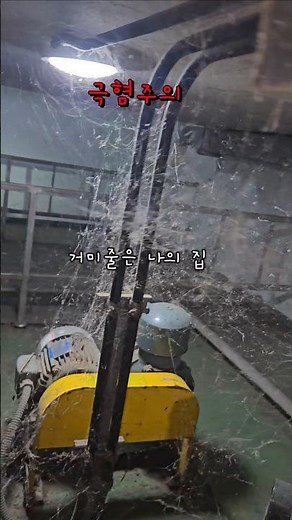 [현장 기록] 지하 정화조 배수 펌프 교체 작업​작업 환경: 지하 정화조