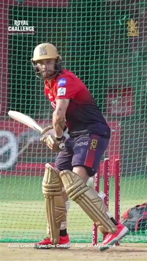 rcb practice /bating shorts /fill sholt ready to play ipl