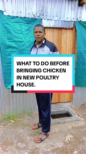 Preparing to Introduce Chickens to a New Poultry House