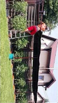 Six Years of Our Gardening (Episode 24)