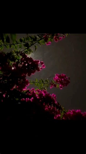 Main wari jawan love song edit ❤️🥰//#love #edit