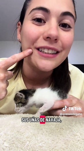 Gatito bebé ya comienza a caminar con cuidado