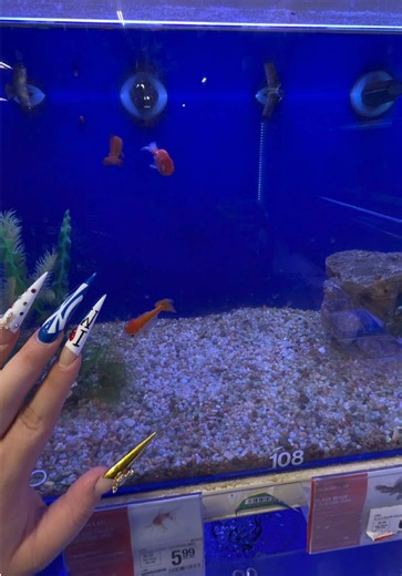 Betta fish baby #2? How to care for newborn bettas