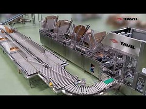 TAVIL multiformat box forming machine with multifeeder