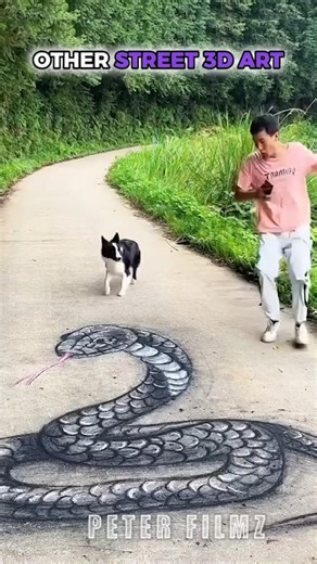 Others Normal Skill vs Master of Street 3d Art😋☠️😅