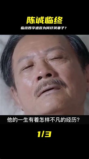 In 1965, Chen Cheng left a four-character will before his death. His wife's expression changed dr...