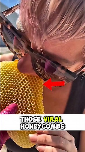The Honeycomb Myth Revealed!! 🍯 🐝 #viral #animals
