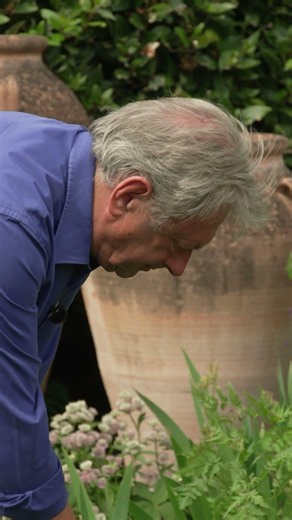 How to Know When Your Plants Actually Need Water