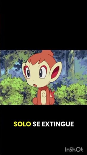 chimchar #chimchar #pokemon #archivopokemon #anime #pokemongo