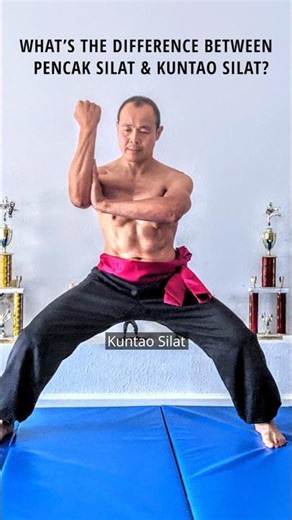 What's the difference between Pencak Silat and Kuntao Silat? #silat #kuntao #kungfu #martialarts