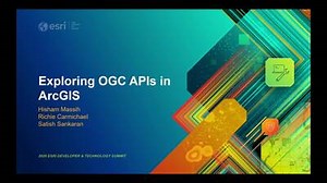 Exploring OGC APIs in ArcGIS