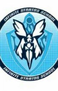 infinite knight (infinite stratos x male reader) - chapter 1