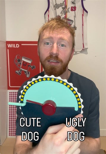 Where would you rank this dog? #wavelength | Wavelength