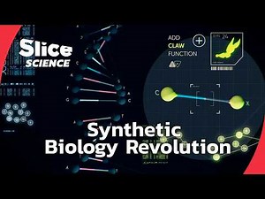 Biology 2.0: The Future of Life Engineering | SLICE SCIENCE | FULL DOC