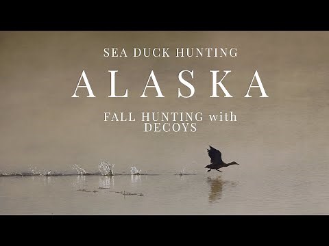Alaska: Fall Sea-Duck Hunting with Decoys