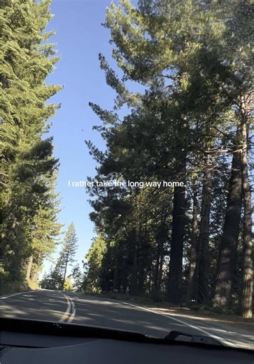 Lake vacation 🌲 🐻 #shaverlake #lakelife #lakeday #lakehouse #cabinlife #cabin #naturevibes #vacations #boatlife #travel #traveltiktok #justinbieber #cabintrip