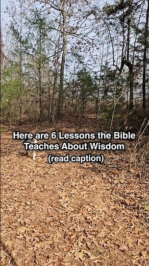Here are 6 Lessons the Bible Teaches About Wisdom ⬇️