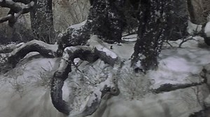 Camelot.1967.1080p.BluRay.x264YTS.AG.mp4