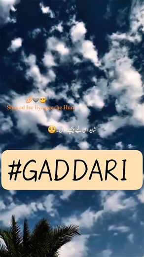 MUJHE GADDARI NAHI AATI #Tere dil ki aawaj hu mai #motivation #love #shorts #trandingsong #shorts