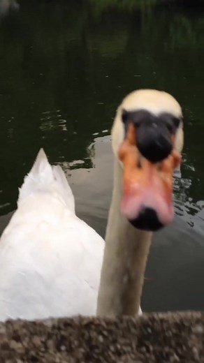 iPhone 4S Camera Quality Test & Comparison with Today's Tech