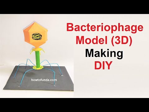 bacteriophage virus making for science project - diy | howtofunda ‪@craftpiller‬