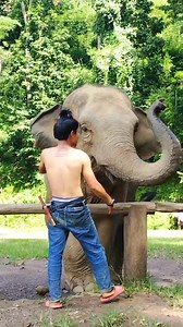 🐘🥰🖐️hello | Na Na