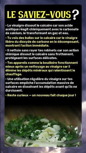 Le Vinaigre Blanc Détruit le Calcaire en Secondes