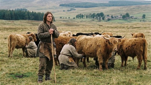 Got tired of hunting so I started hoarding cattle